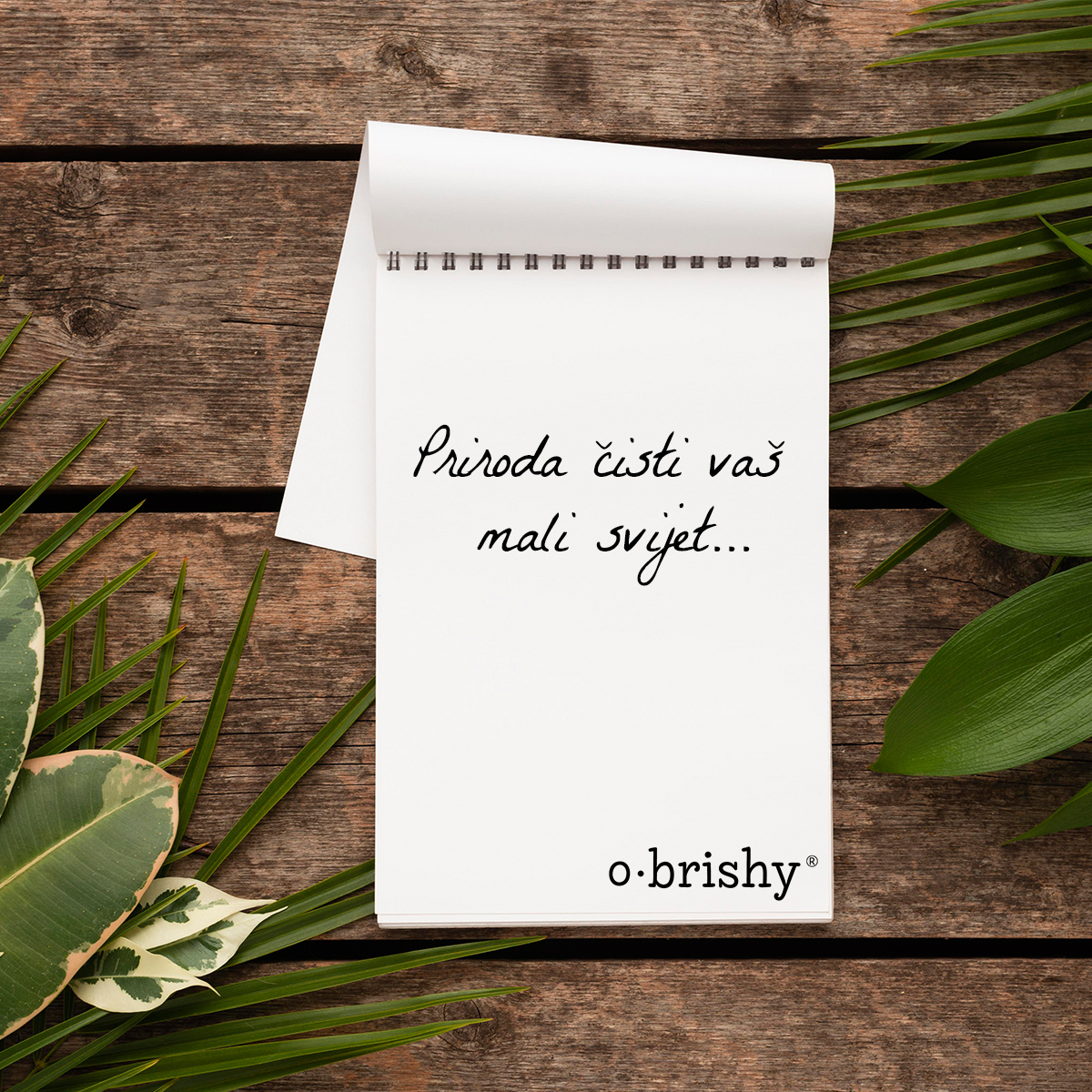 Obrishy Post